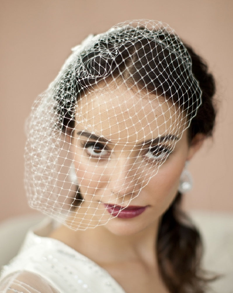 Wedding Birdcage Bridal Veil w/ Champagne Lace Appliques