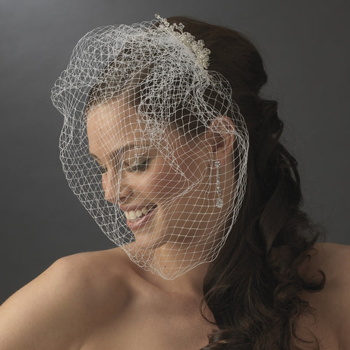 Enchanting Bridal  Birdcage Veil & Swarovski Crystal Flower Comb